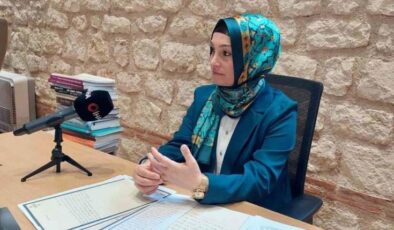 Belediyelerde söyleşiler yapan tarihçi-yazar diplomasız çıktı