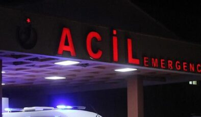 Sokak köpeklerinden kaçarken araba çarptı, hayatını kaybetti
