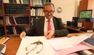 Sıraca Otu Üzerinde Kimyasal Savunma Araştırması Başlatıldı