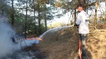 Amasya’da Orman Yangını Söndürüldü