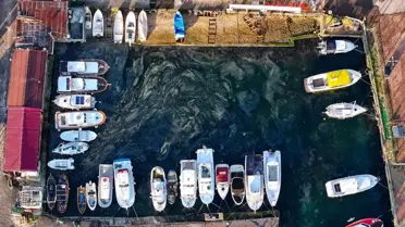 Marmara Denizi’nde Müsilaj Tehdidi