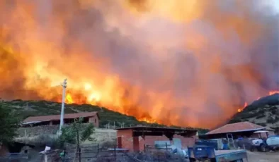 Salihli’de Orman Yangınlarına Karşı Seferberlik