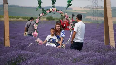 Tekirdağ’ın Lavanta Tarlaları Turistleri Ağırladı