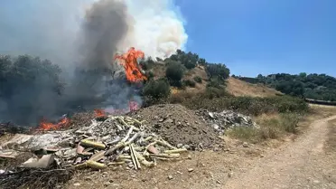 Turgutlu’da Yangın Kontrol Altında